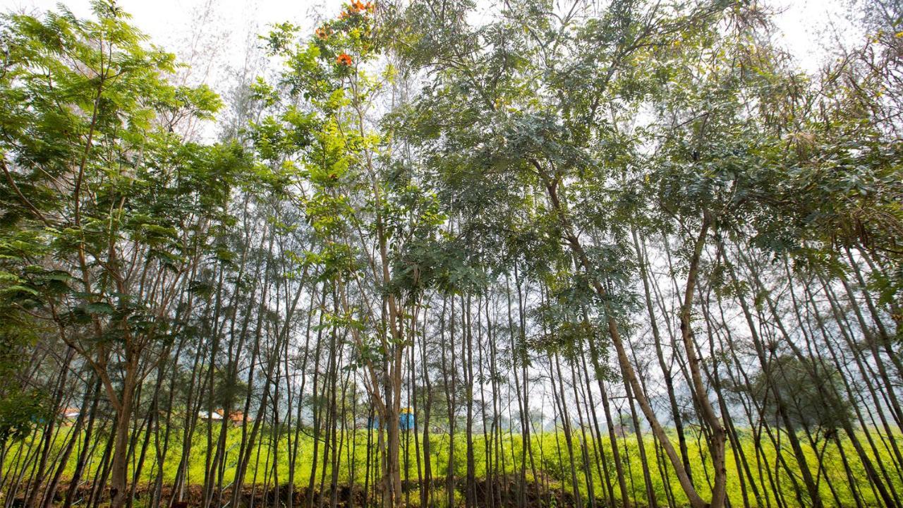 Aara Jungle Resort Coimbatore Extérieur photo